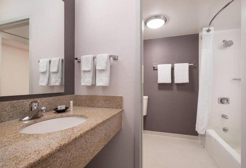 带大床的标准间, Courtyard Sacramento Rancho Cordova