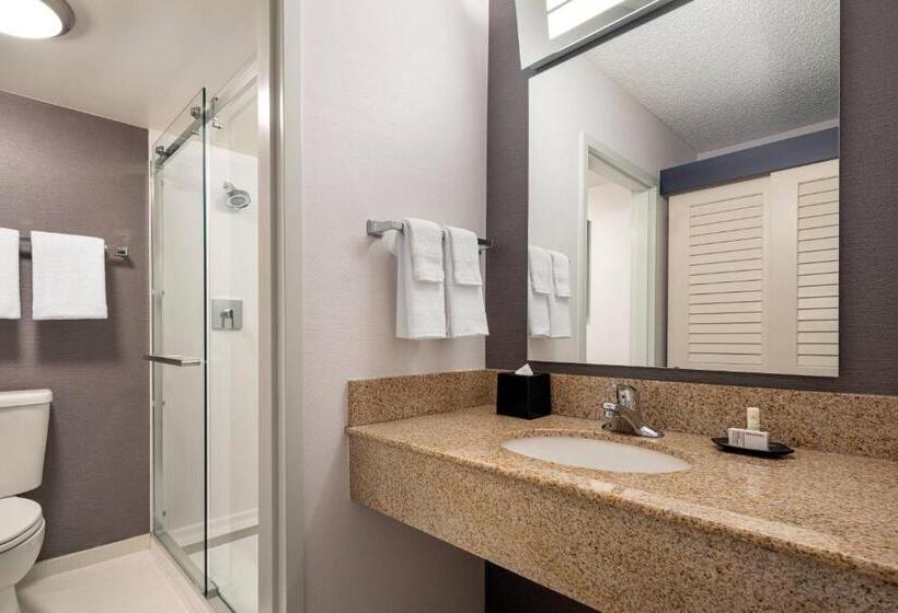 带大床的套房, Courtyard Sacramento Rancho Cordova