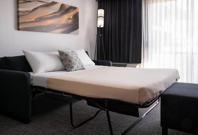 适合残疾人士使用的带超级大床的标准间, Courtyard Sacramento Rancho Cordova