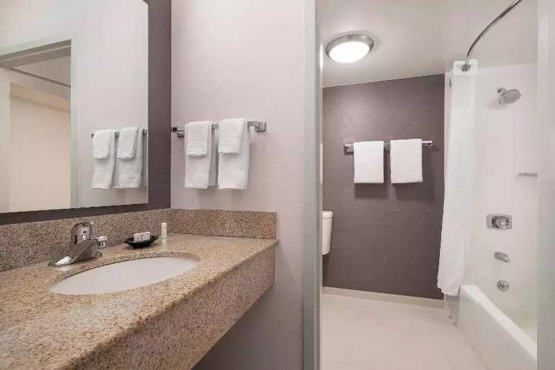 اتاق استاندارد با تخت بزرگ, Courtyard Sacramento Rancho Cordova