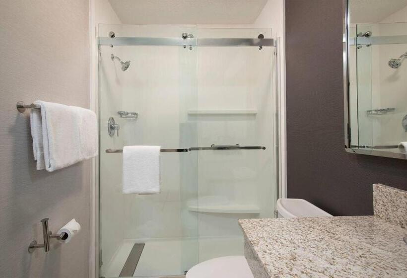 장애인을 위한 킹사이즈 침대 스탠다드 룸, Courtyard Winstonsalem University