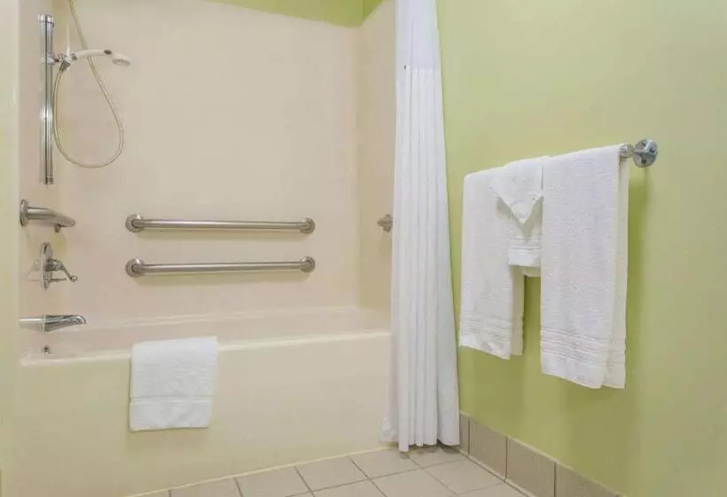 اتاق استاندارد برای معلولان, Days Inn By Wyndham Raleighairportresearch Triangle Park