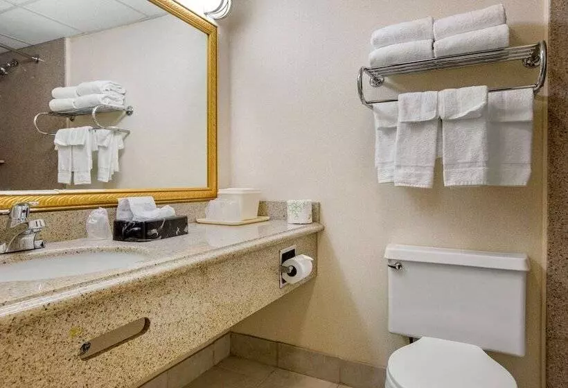 ２ダブルベッドのスタンダードルーム, Quality Inn Ledgewood  Dover