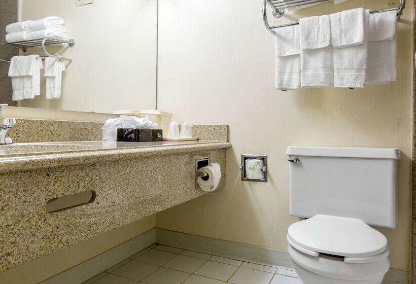스탠다드 룸 더블 침대 2개, Quality Inn Ledgewood  Dover