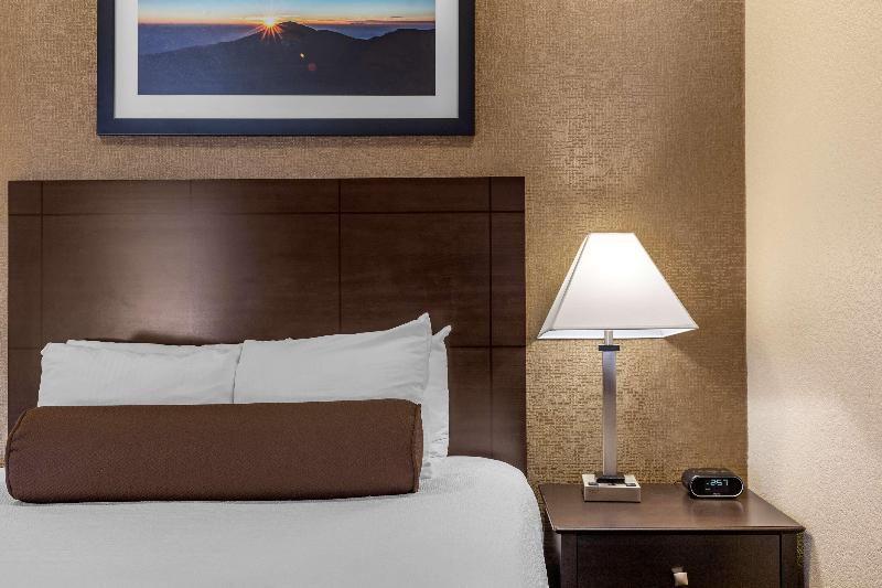 キングサイズベッドのスタンダードルーム, Quality Inn Manning I95