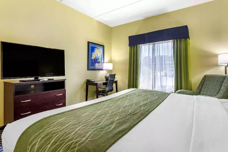 キングサイズベッドのスタンダードルーム, Ac Hotel By Marriott Orlando Lake Buena Vista