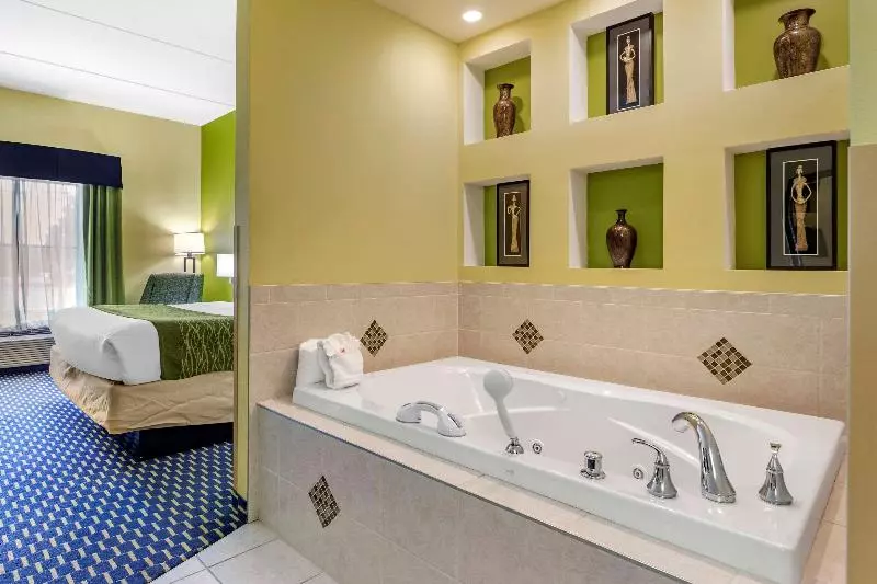 キングサイズベッドのスタンダードルーム, Ac Hotel By Marriott Orlando Lake Buena Vista