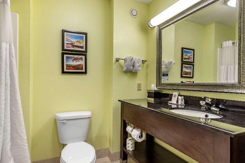 غرفة قياسية سرير كينج, Ac Hotel By Marriott Orlando Lake Buena Vista