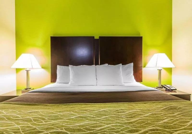 キングサイズベッドのスタンダードルーム, Ac Hotel By Marriott Orlando Lake Buena Vista