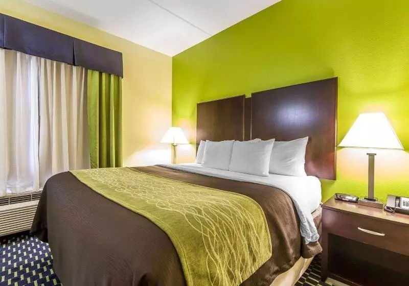 キングサイズベッドのスタンダードルーム, Ac Hotel By Marriott Orlando Lake Buena Vista