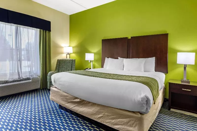 キングサイズベッドのスタンダードルーム, Ac Hotel By Marriott Orlando Lake Buena Vista