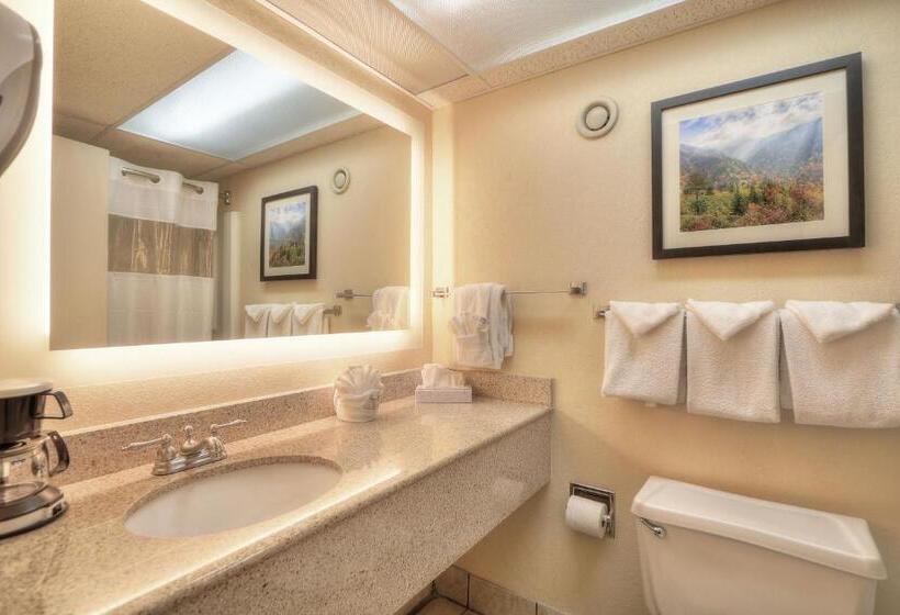 스탠다드 룸, Edgewater Hotel And Conference Center