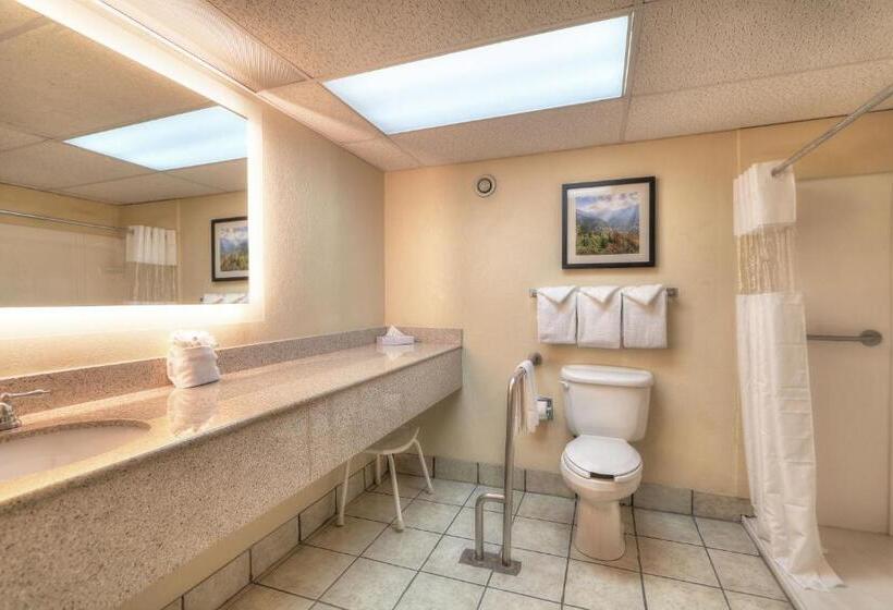 스탠다드 룸 킹사이즈 침대, Edgewater Hotel And Conference Center