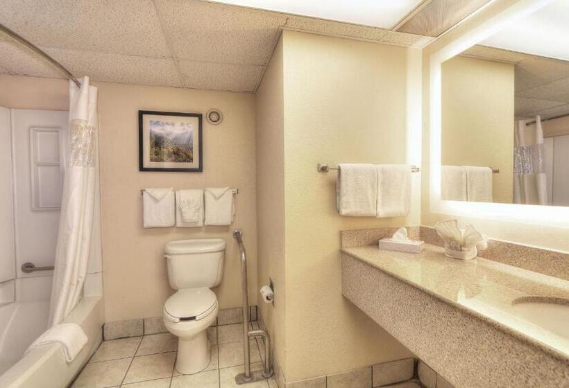 스탠다드 룸 킹사이즈 침대, Edgewater Hotel And Conference Center