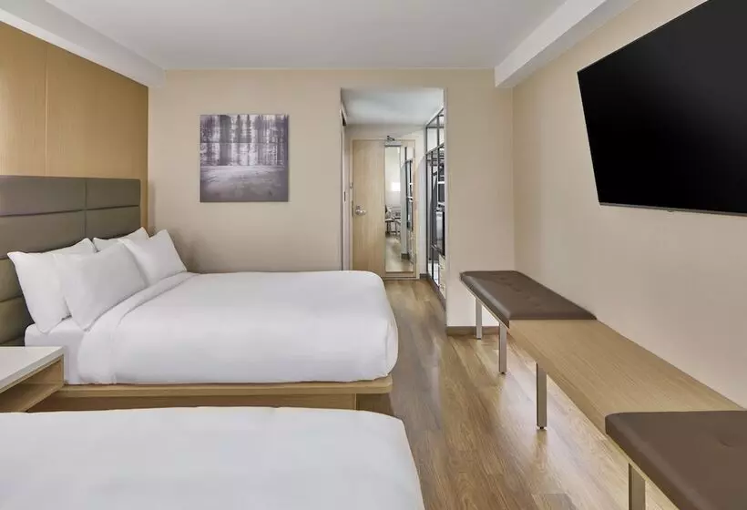 ２ダブルベッドのスタンダードルーム, Ac Hotel By Marriott Orlando Lake Buena Vista