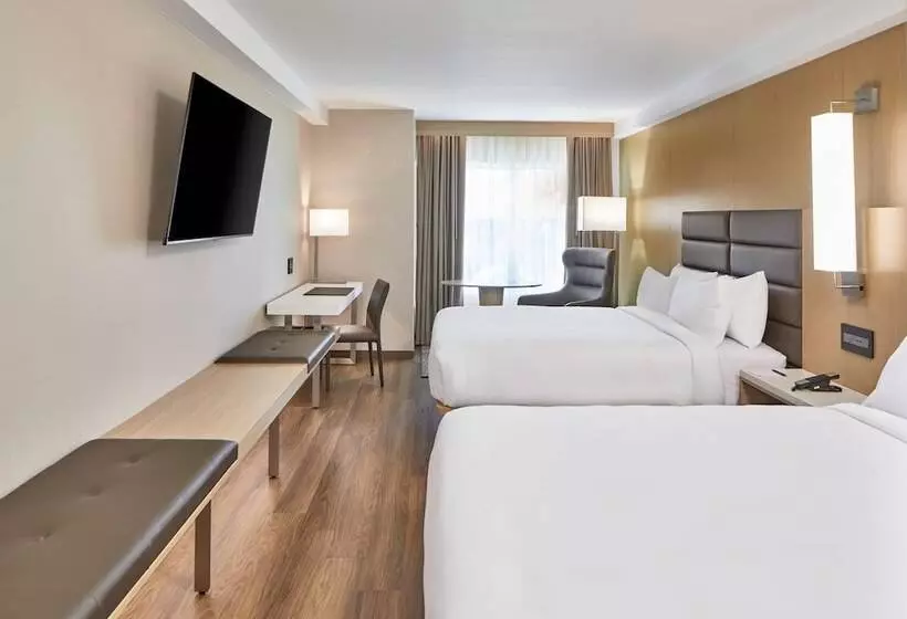 ２ダブルベッドのスタンダードルーム, Ac Hotel By Marriott Orlando Lake Buena Vista