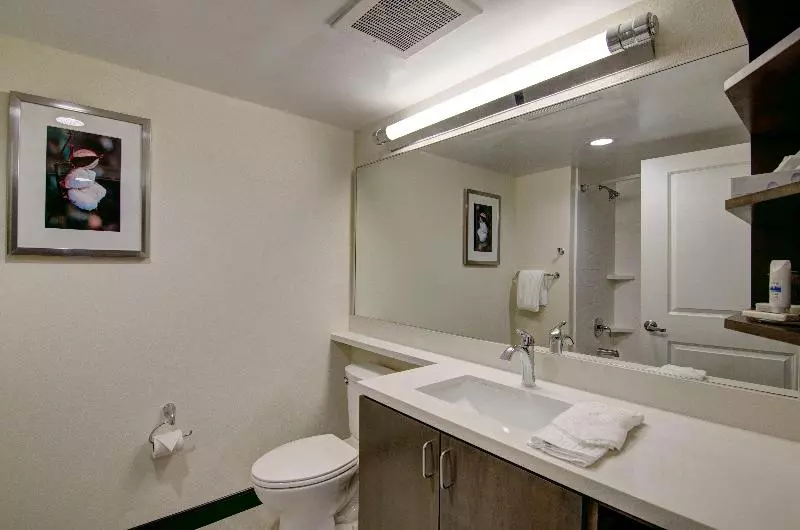 キングサイズベッドのスイートルーム, Candlewood Suites Richmond   West Broad, An Ihg