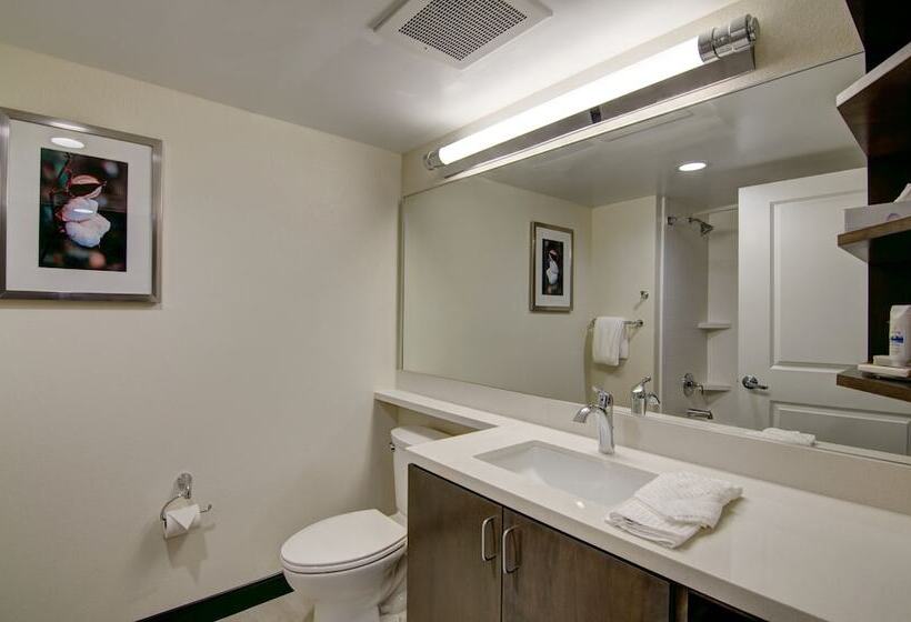 디럭스 스위트 킹 침대, Candlewood Suites Richmond West Broad, An Ihg