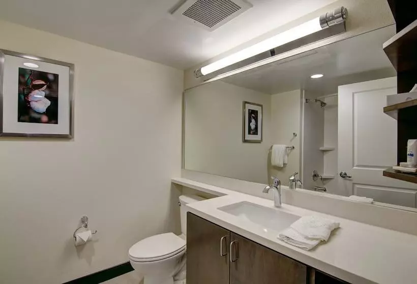 スイート, Candlewood Suites Richmond   West Broad, An Ihg