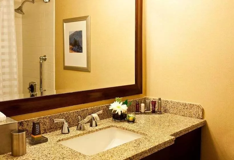 ダブルベッドスタンダードルーム, Denver Marriott West