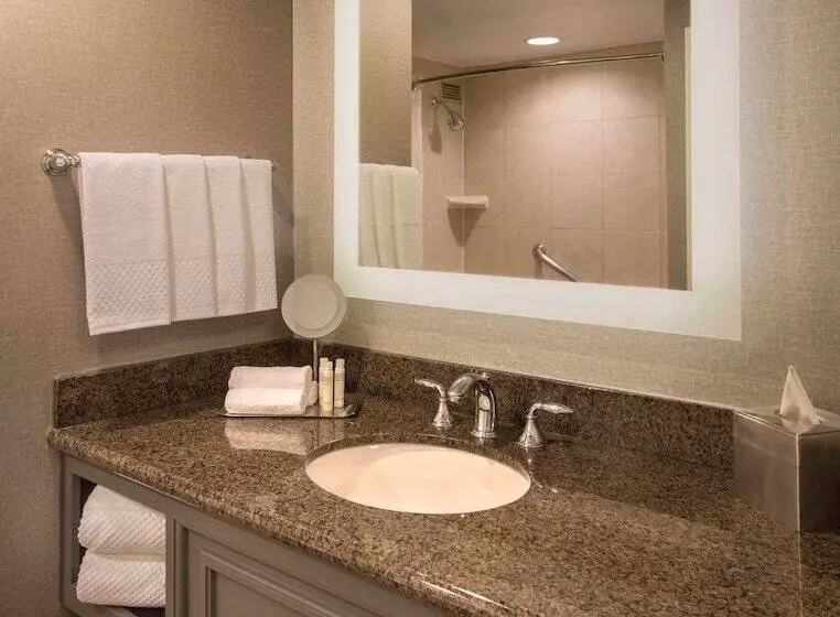 اتاق استاندارد با 2 تخت دوبل, Doubletree By Hilton Austin