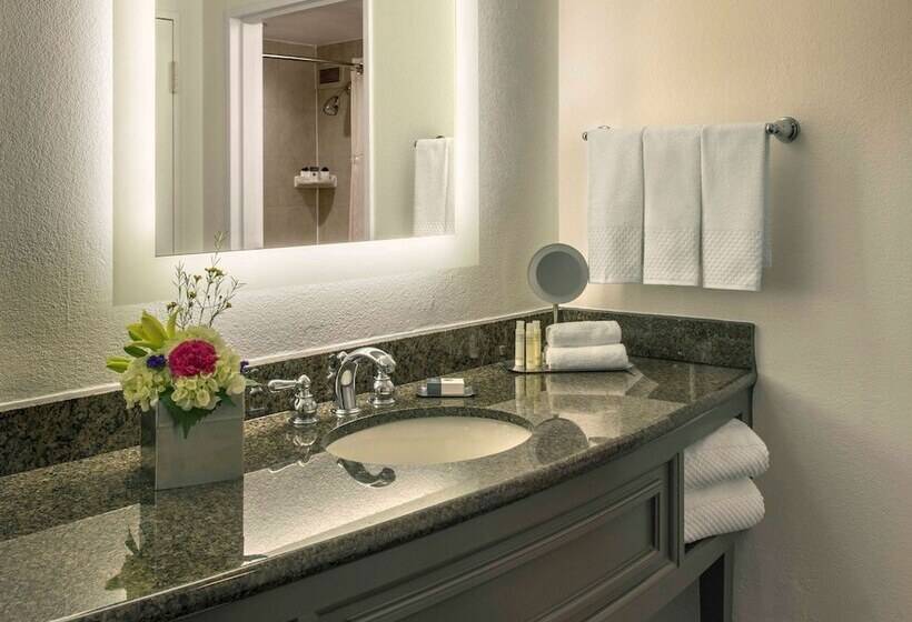 Номер Премиум, Doubletree By Hilton Austin