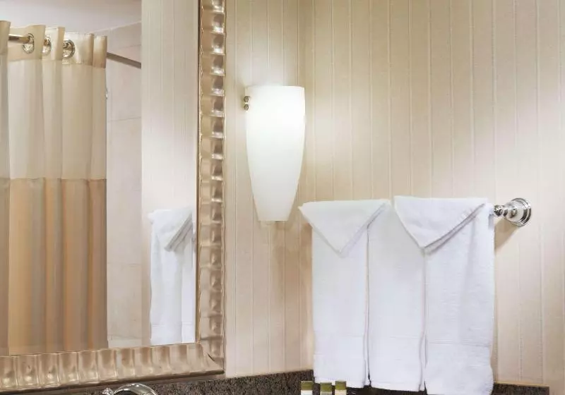 سوئیت با تخت بزرگ, Doubletree By Hilton Austin