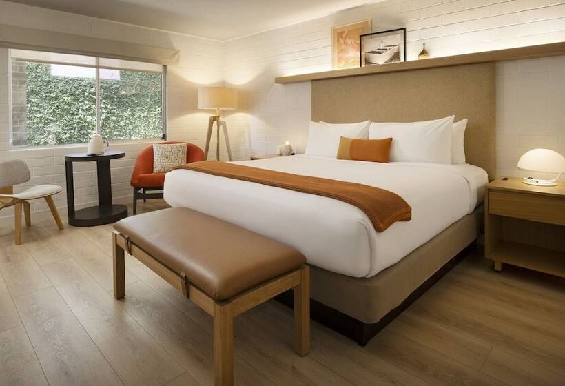 디럭스 인테리어 룸, Dr Wilkinsons Backyard Resort And Mineral Springs A Member Of Design Hotels