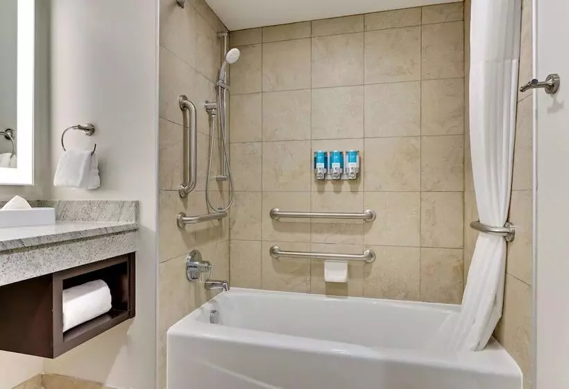 身障者適用スイートルーム, Drury Plaza Hotel St. Paul Downtown