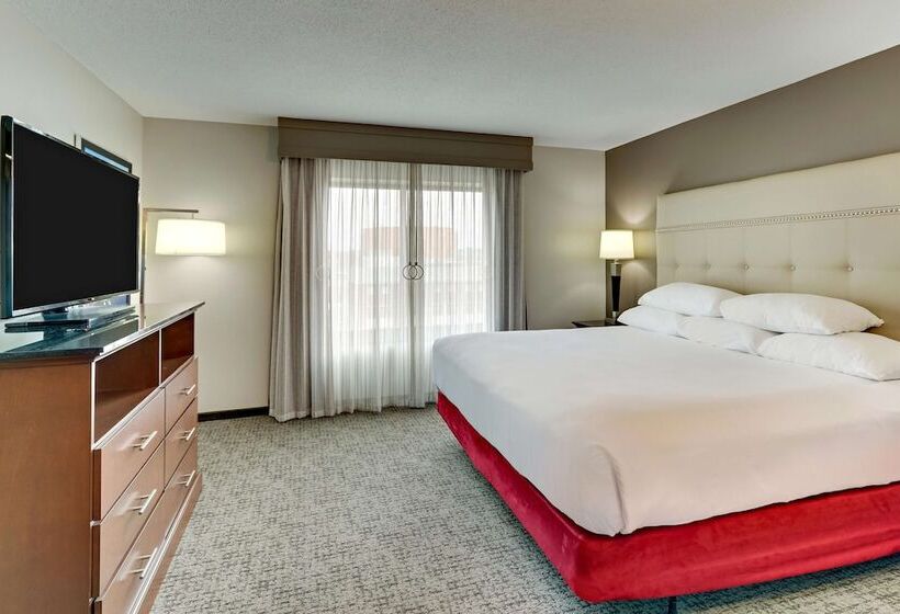 适合残疾人士使用的套间, Drury Plaza Hotel St. Paul Downtown