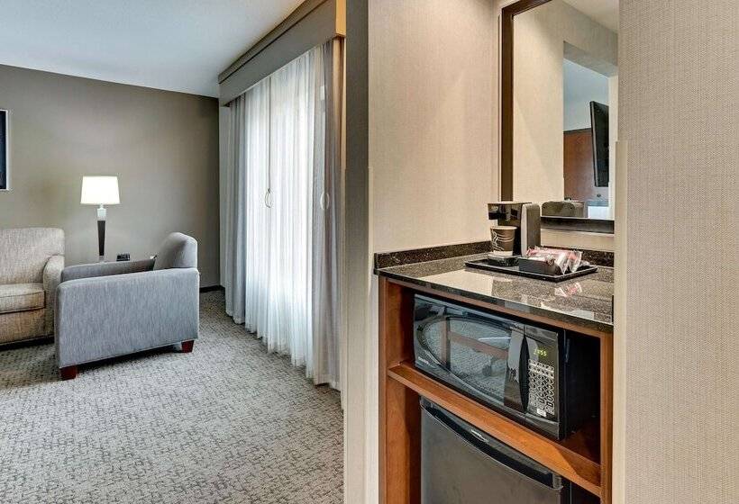 适合残疾人士使用的套间, Drury Plaza Hotel St. Paul Downtown