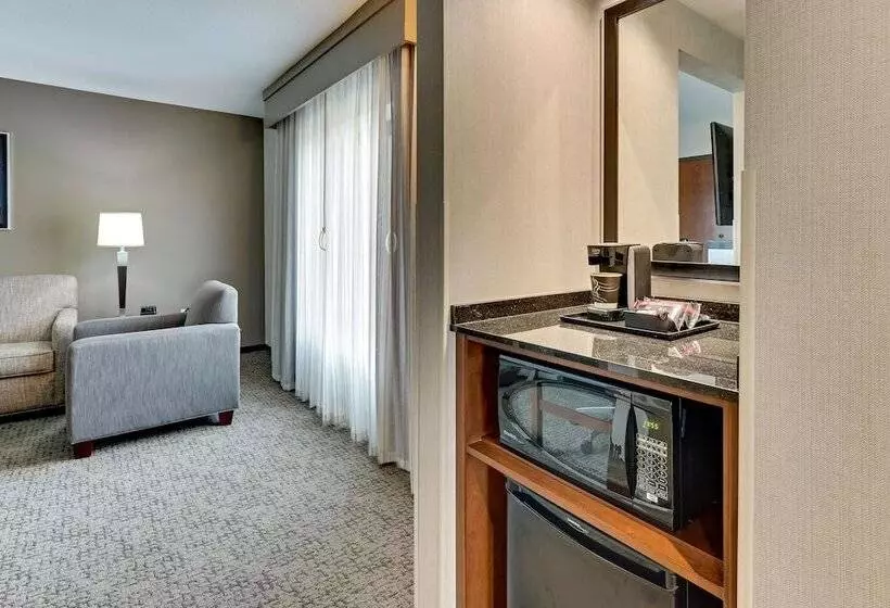 身障者適用スイートルーム, Drury Plaza Hotel St. Paul Downtown