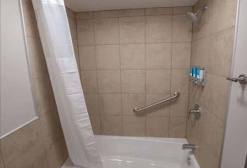 适合残疾人士使用的套间, Drury Plaza Hotel St. Paul Downtown