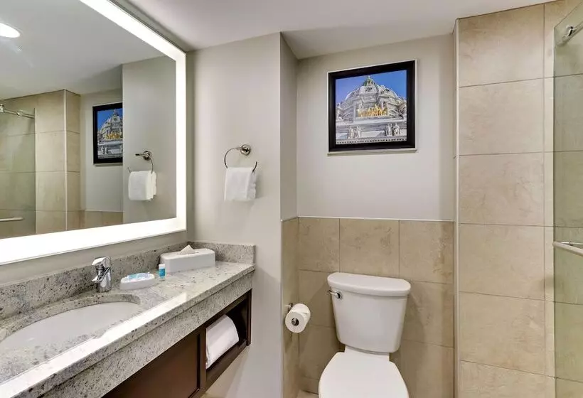 スイート, Drury Plaza Hotel St. Paul Downtown