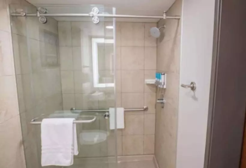 スイート, Drury Plaza Hotel St. Paul Downtown