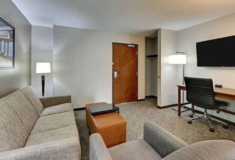 套房, Drury Plaza Hotel St. Paul Downtown