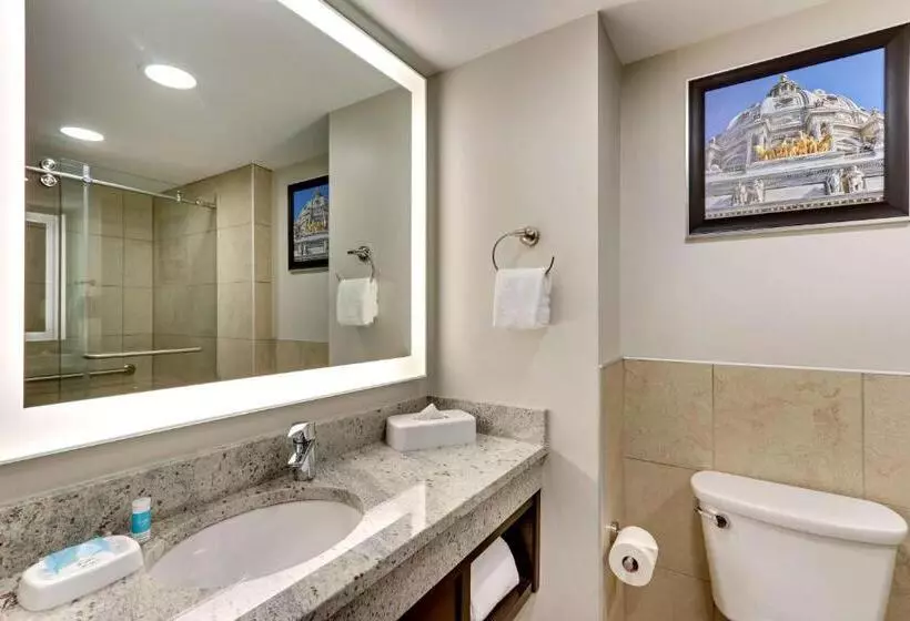 キングサイズベッドのデラックススイート, Drury Plaza Hotel St. Paul Downtown