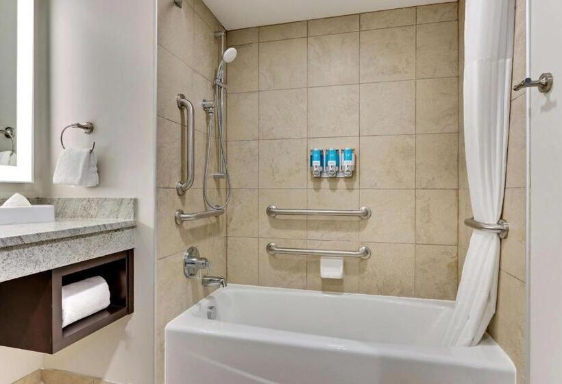 Люкс Адаптированный для Инвалидов, Drury Plaza Hotel St. Paul Downtown