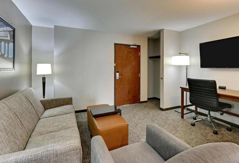 高级套房, Drury Plaza Hotel St. Paul Downtown