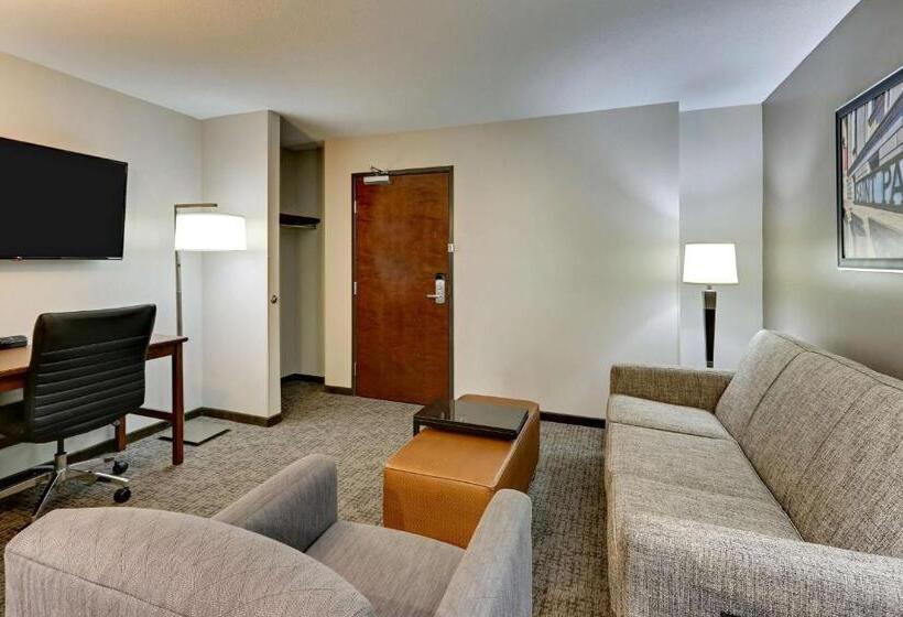 高级套房, Drury Plaza Hotel St. Paul Downtown