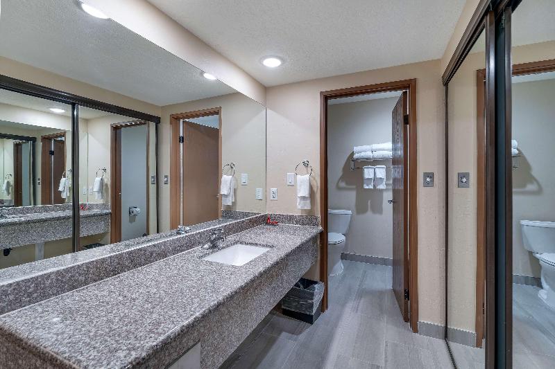 Люкс Deluxe Кровать Кинг, Drury Plaza Hotel St. Paul Downtown