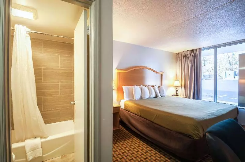 キングサイズベッドのスタンダードルーム, Econo Lodge