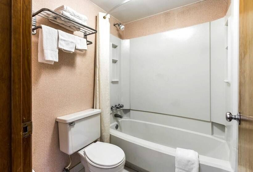 Номер Стандарт 2 Двуспальные Кровати, Econo Lodge   Conyers