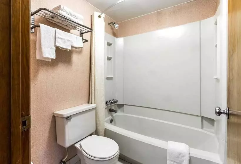 ２ダブルベッドのスタンダードルーム, Econo Lodge   Conyers