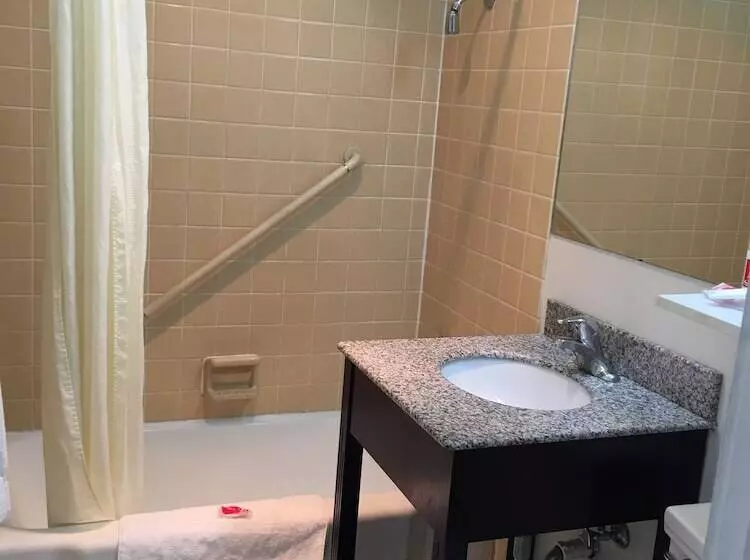 ダブルベッドスタンダードルーム, Econo Lodge Downtown