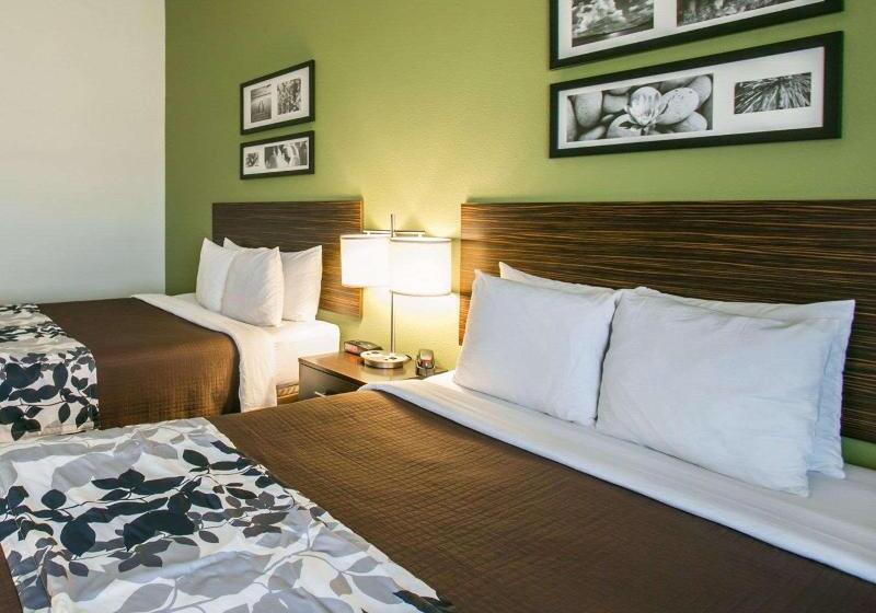 高级套房, Embassy Suites By Hilton Atlanta Perimeter Center