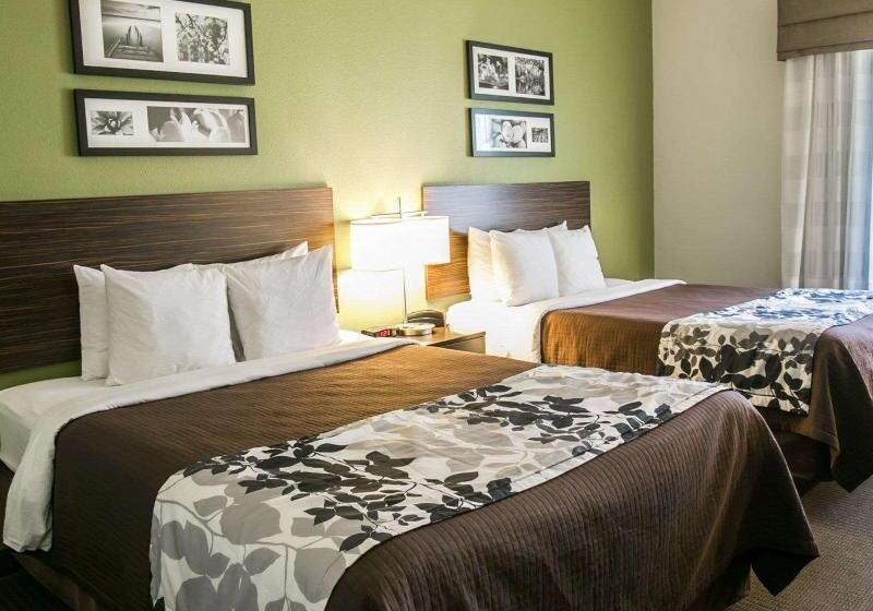 高级套房, Embassy Suites By Hilton Atlanta Perimeter Center