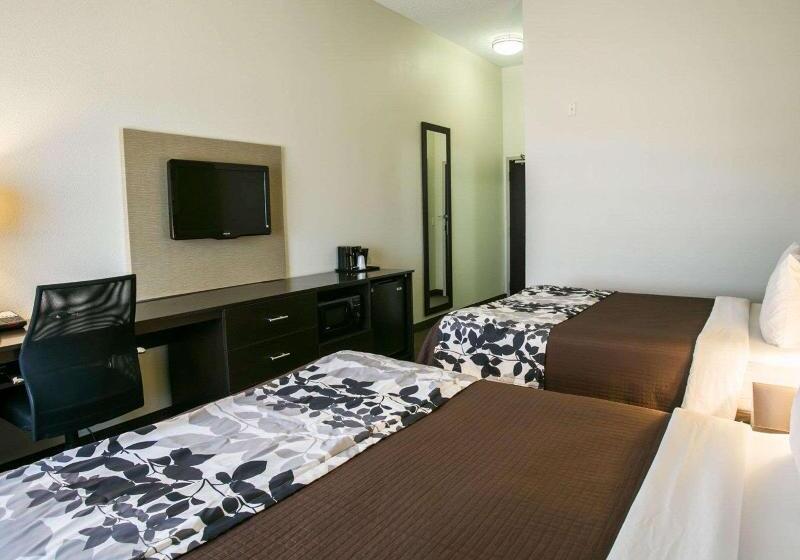 Suíte Premium, Embassy Suites By Hilton Atlanta Perimeter Center