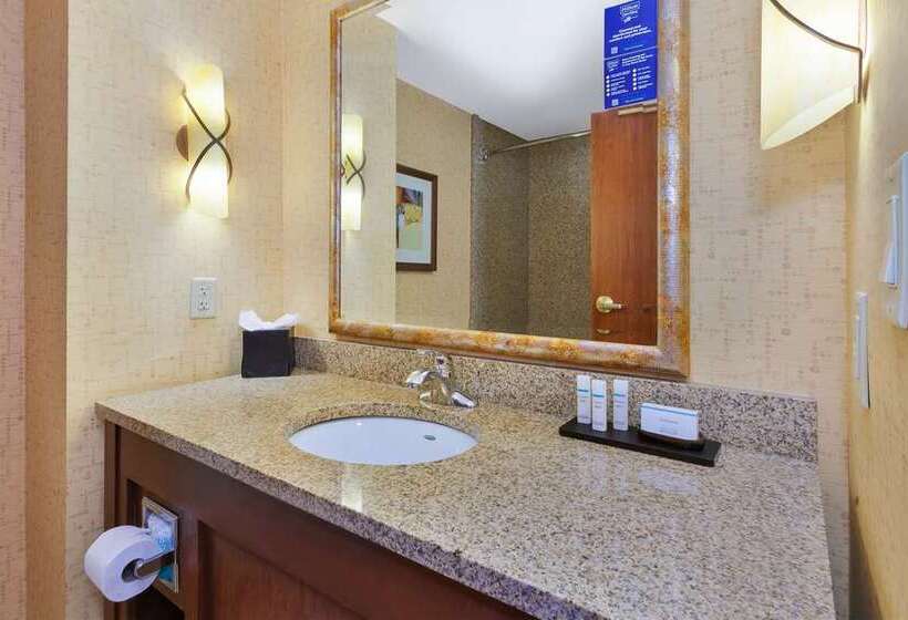 Suíte Premium, Embassy Suites By Hilton Atlanta Perimeter Center