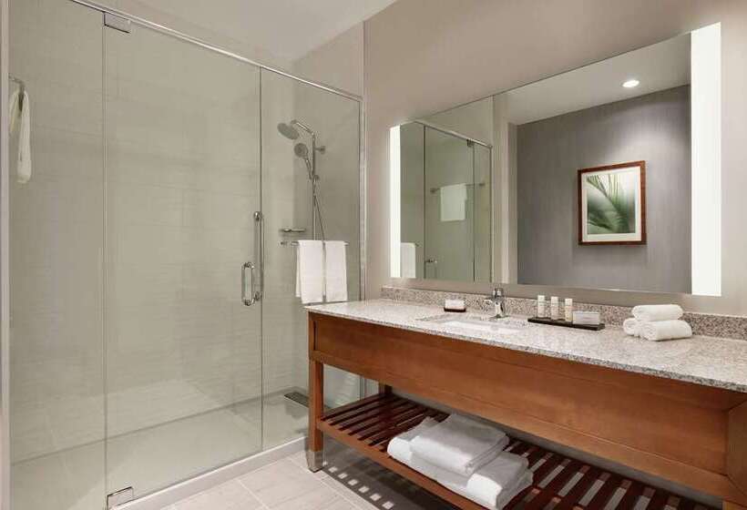 高级套房, Embassy Suites By Hilton Atlanta Perimeter Center